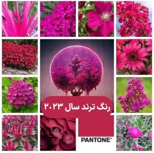 رنگ ترند سال 2023